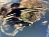 IMG_1129.jpeg