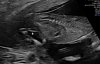 20231005_150133.jpg