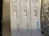 IMG_5258.jpeg