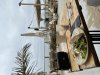 IMG_1229.jpeg