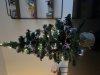 IMG_1235.jpeg