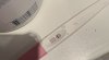 IMG_9505.jpeg