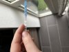 IMG_6176.jpeg