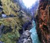 IMG_20221016_115209.jpg