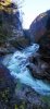 IMG_20221016_120411.jpg