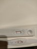 IMG20231024081856.jpg