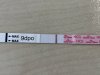 IMG_1750.jpeg