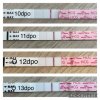 IMG_1938.jpeg