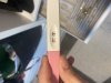 IMG_9183.jpeg