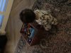 IMG_0071.jpeg