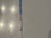 IMG_7450.jpeg
