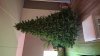 IMG-20231031-WA0005.jpeg