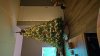 IMG-20231101-WA0008.jpeg