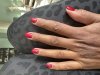 IMG_1525.jpeg
