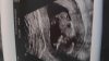 IMG-20231102-WA0049.jpeg