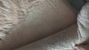 IMG-20231102-WA0056.jpeg