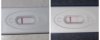 InFrame_1699172441820.jpg