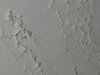 20231109_013455.jpg