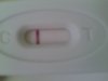 test1aug.jpg