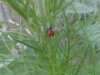20130722_190906.jpg
