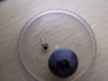 DSCF7631.jpg