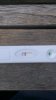test2.jpg
