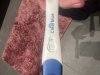 IMG_4342.jpeg