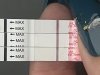 92CE1FFE-0E62-4319-9B6F-53F849FAE514.jpeg