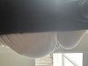 IMG_8767.jpeg