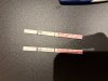 IMG_1132.jpeg