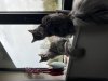 IMG_0499.jpeg