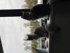 IMG_0497.jpeg