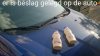 default_zucht16.jpg