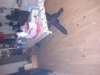 20231202_035642.jpg