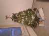 20231204_080659.jpg