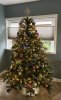 IMG_0887.jpeg