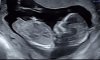 B8256D38-F08A-4D77-949B-EC8AA5A96CFB.jpeg