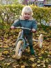 IMG_4222.jpeg