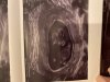 IMG_4576.jpeg