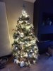 IMG_20231206_160338.jpg