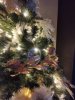 IMG_20231206_160344.jpg