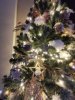 IMG_20231206_160357.jpg