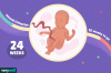 Week_24_Primary-e67cd3a75c6d425da1db7645d933d746.gif