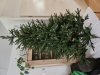 20231209_124757.jpg