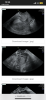 D194B3D8-C193-452B-BC9C-BBC6626398DD.png