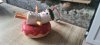 20231214_092440.jpg