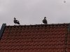 IMG_20231214_095623.jpg