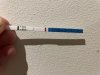 IMG_4578.jpeg