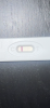 4D28B590-462A-4E3E-9959-95F428BDE425.png