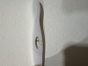 IMG_1389.jpeg